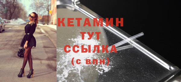 стаф Аркадак