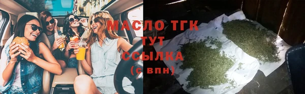 стаф Аркадак