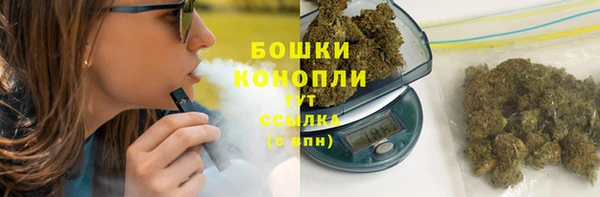 стаф Аркадак
