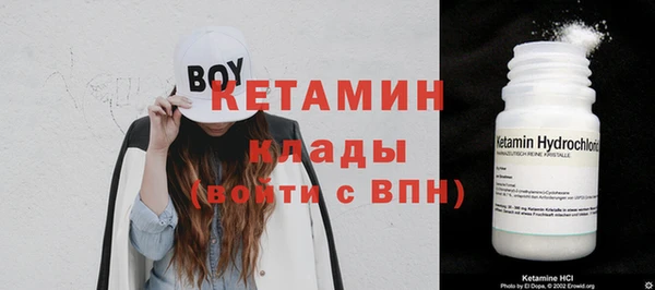 стаф Аркадак