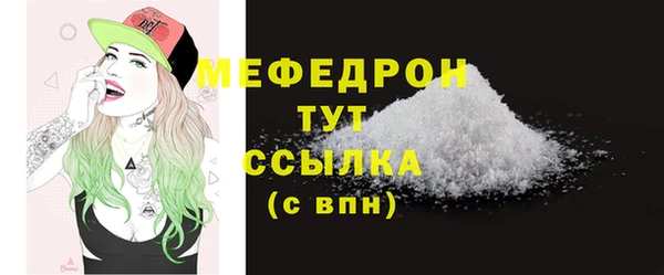 стаф Аркадак