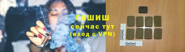 стаф Аркадак