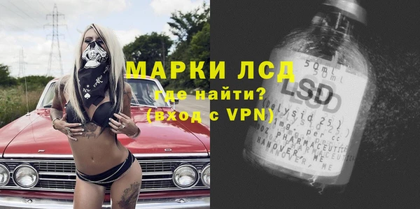 стаф Аркадак