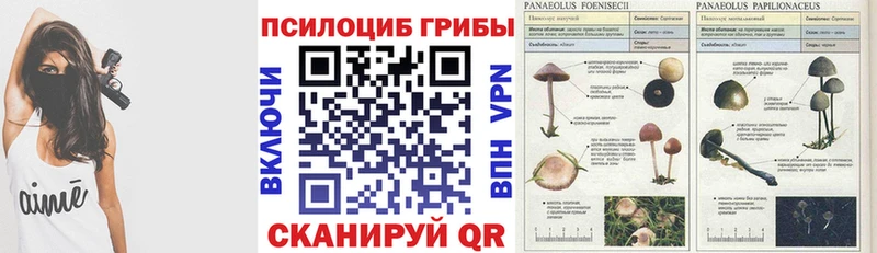 Псилоцибиновые грибы Magic Shrooms  купить  цена  Саяногорск 